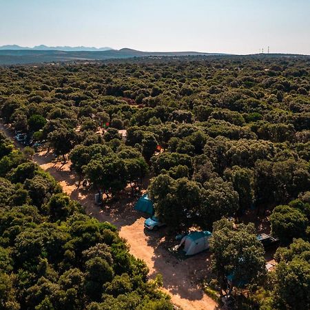 Camping Sugar Mandre Exteriér fotografie