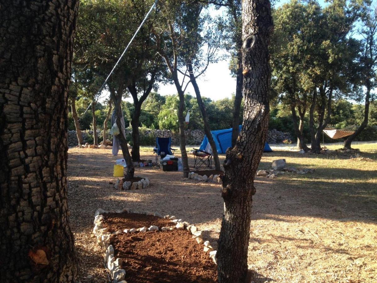 Camping Sugar Mandre Exteriér fotografie