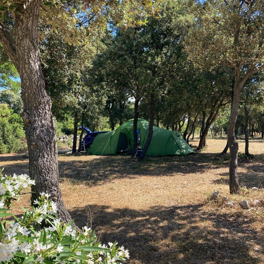 Camping Sugar Mandre Exteriér fotografie