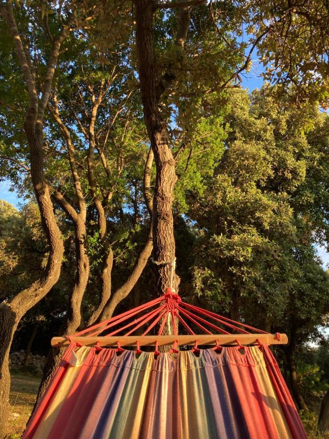 Camping Sugar Mandre Exteriér fotografie