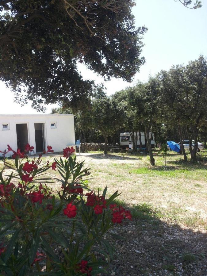 Camping Sugar Mandre Exteriér fotografie