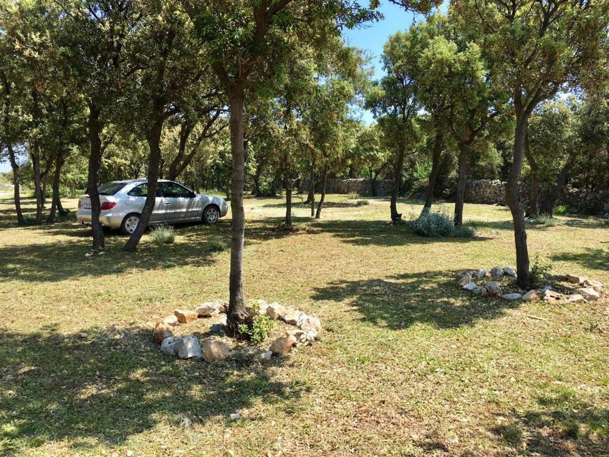 Camping Sugar Mandre Exteriér fotografie